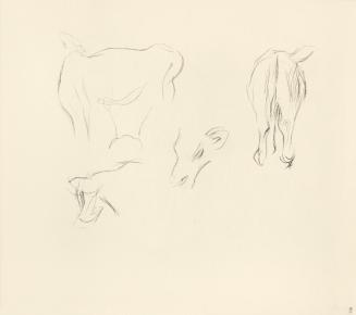 Alfred Wickenburg, Tierskizzen, 1940/1944, Kreide auf Papier, 22 × 25,4 cm, Belvedere, Wien, In ...