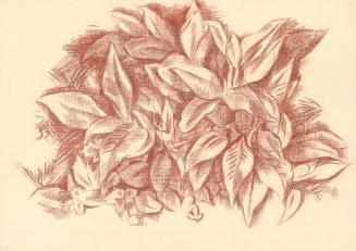 Alfred Wickenburg, Blätter, 1938, Rötel auf Papier, Blattmaße: 44,5 x 62,7 cm, Leihgabe aus Pri ...