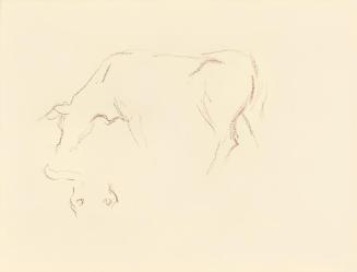 Alfred Wickenburg, Studien zu einer Kuh, 1950, Umbrastift auf Papier, Blattmaße: 21 × 28 cm, Le ...