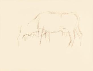 Alfred Wickenburg, Studien zum Körper einer Kuh, 1950, Umbrastift auf Papier, Blattmaße: 21 × 2 ...