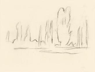 Alfred Wickenburg, Baumstudien, 
um 1960, Kohle auf Transparentpapier, Blattmaße: 14,5 × 19,1  ...