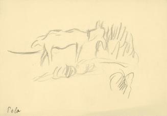 Alfred Wickenburg, Ziege in Landschaft, Pola, 1920/1923, Graphit auf Papier, Blattmaße: 15,4 ×  ...
