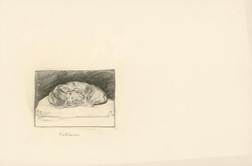 Alfred Wickenburg, Schlafender Hund, 1902, Bleistift auf Papier, Blattmaße: 22,5 × 34 cm, Priva ...