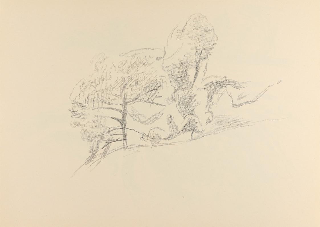 Alfred Wickenburg, Bäume, um 1950, Bleistift auf Papier, Blattmaße: 21 × 29,5 cm, Privatbesitz