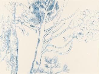 Alfred Wickenburg, Baum, um 1960, Blauer Kugelschreiber auf Papier, Blattmaße: 23,8 × 30 cm, Pr ...