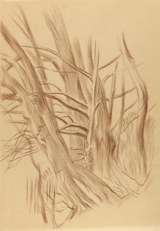 Alfred Wickenburg, Baumgruppe, 1941, Braune Kreide auf Papier, Blattmaße: 29,7 × 20,7 cm, Priva ...