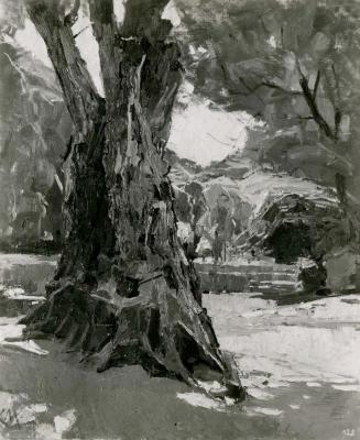 Carl Moll, Alter Praterbaum, um 1930, Öl, 105 × 105 cm, Unbekannter Besitz