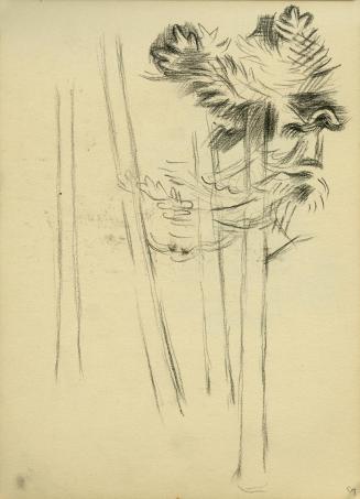 Alfred Wickenburg, Baumskizze, 1945/1950, Kohle auf Papier, 20,7 × 15 cm, Belvedere, Wien, Inv. ...
