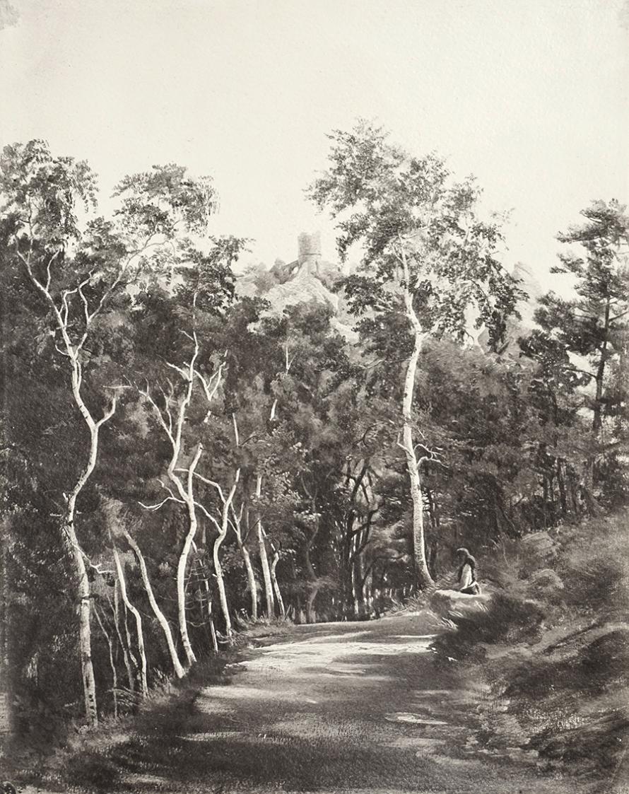 Tina Blau, Mödling. Neuer Weg, 1868, Öl, unbekannter Verbleib