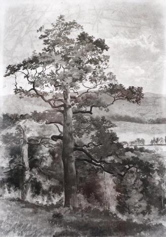Tina Blau, Großer Baum, um 1868/1869, Öl auf Leinwand auf Karton, Roser-De Palma: 52,5 × 37,5 c ...