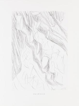 Kurt Hüpfner, Waldweg, 1990, Bleistift auf Papier, kaschiert auf Karton, 29,7 × 21 cm, Privatbe ...