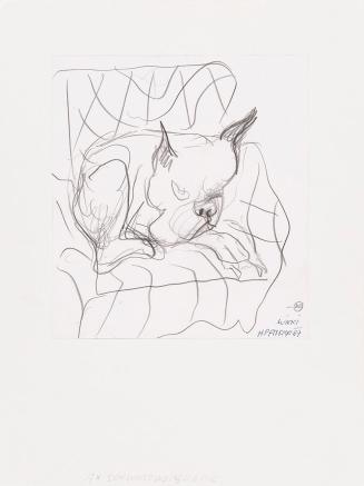 Kurt Hüpfner, Wicki, 1987, Bleistift auf Papier, kaschiert auf Karton, 23,1 × 21 cm, Privatbesi ...