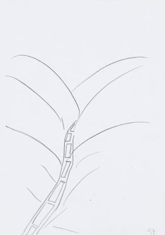 Kurt Hüpfner, Ohne Titel, 1997, Bleistift auf Papier, 29,7 × 21 cm, Privatbesitz, Wien