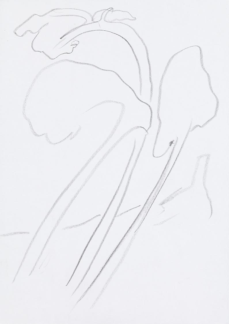 Kurt Hüpfner, Ohne Titel, um 2000, Bleistift auf Papier, 29,7 × 21 cm, Privatbesitz, Wien