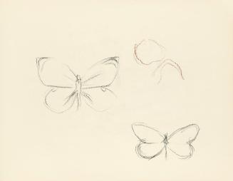 Alfred Wickenburg, Zwei Schmetterlinge, um 1945, Kohle und Rötel auf Papier, Blattmaße: 14,8 ×  ...