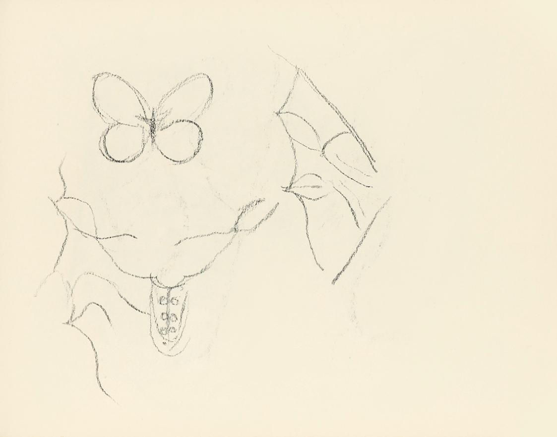 Alfred Wickenburg, Studie eines Schmetterlings, um 1945, Kohle auf Papier, Blattmaße: 14,8 × 19 ...