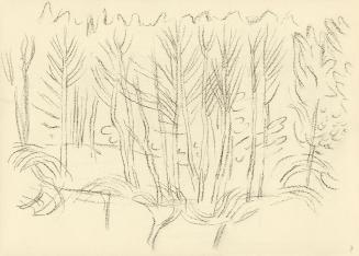 Alfred Wickenburg, Waldstudie, 1945/1950, Kohle auf Papier, 21 × 29,5 cm, Belvedere, Wien, Inv. ...