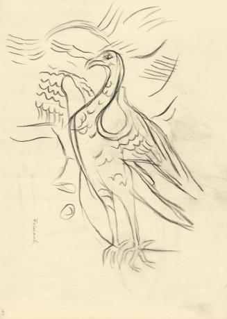 Alfred Wickenburg, Vogelstudie, 1950, Kohle auf Papier, 29,7 × 21 cm, Belvedere, Wien, Inv.-Nr. ...