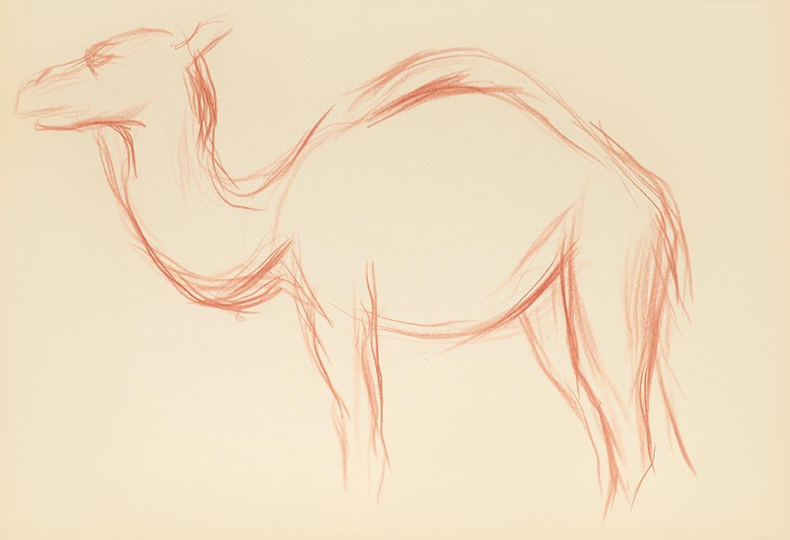 Alfred Wickenburg, Dromedar in Seitenansicht, 1942, Rötel auf Papier, Blattmaße: 20,9 × 29,7 cm ...