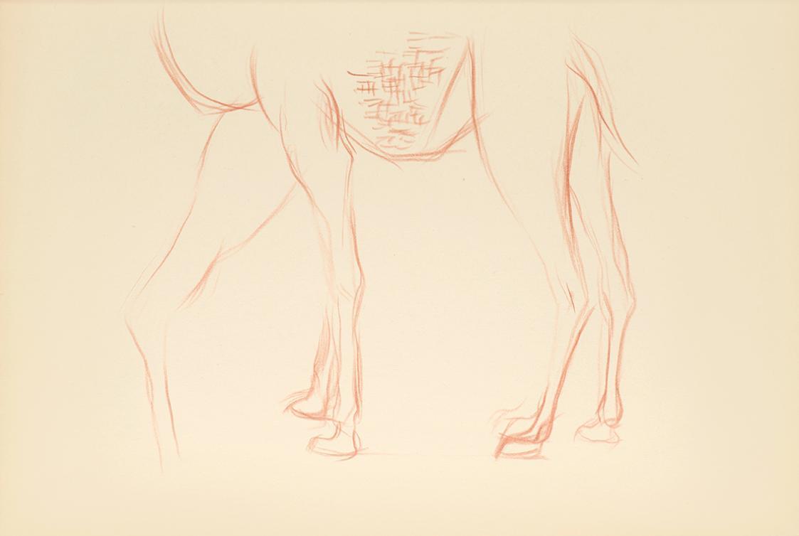 Alfred Wickenburg, Beinstudie eines Dromedars, 1942, Rötel auf Papier, Blattmaße: 20,9 × 29,7 c ...