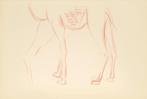 Alfred Wickenburg, Beinstudie eines Dromedars, 1942, Rötel auf Papier, Blattmaße: 20,9 × 29,7 c ...