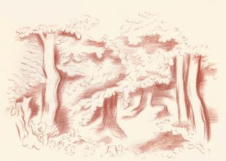Alfred Wickenburg, Waldinneres, 1944, Rötel auf Papier, Blattmaße: 22,6 × 32 cm, Leihgabe aus P ...