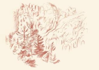 Alfred Wickenburg, Wald, 1944, Rötel auf Papier, Blattmaße: 22,6 × 32 cm, Leihgabe aus Privatbe ...