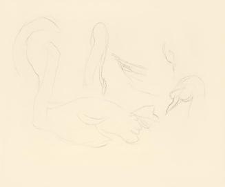 Alfred Wickenburg, Studien zu einem Schwan, 1938, Bleistift auf Papier, Blattmaße: 19 × 23 cm,  ...