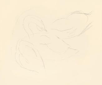 Alfred Wickenburg, Studien zu einem Schwan, 1938, Bleistift auf Papier, Blattmaße: 19 × 23 cm,  ...