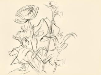 Alfred Wickenburg, Blumen und Blätter, 1950, Kohle auf Papier, Blattmaße: 21 × 28 cm, Leihgabe  ...