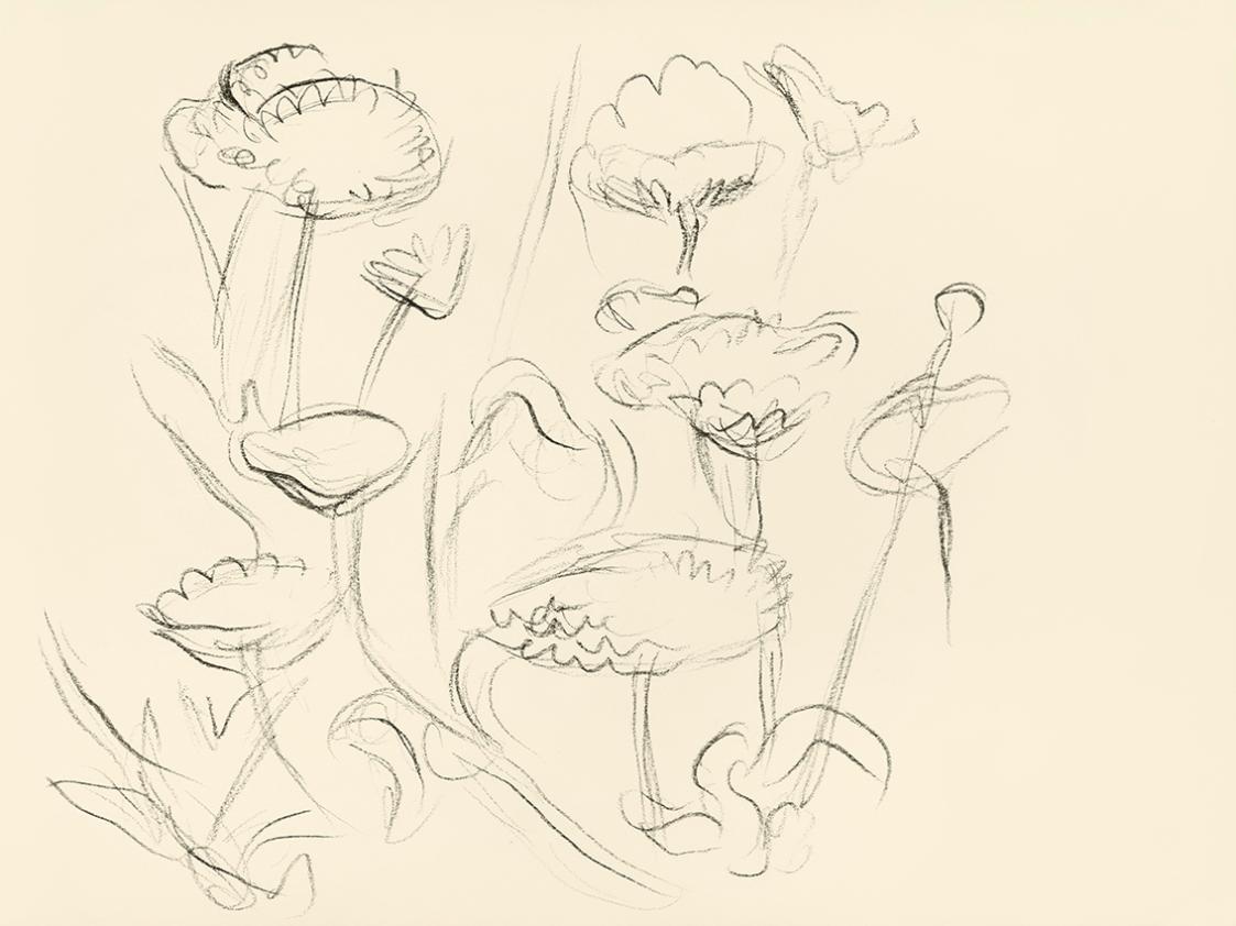 Alfred Wickenburg, Blumen, 1950, Kohle auf Papier, Blattmaße: 21 × 28 cm, Leihgabe aus Privatbe ...