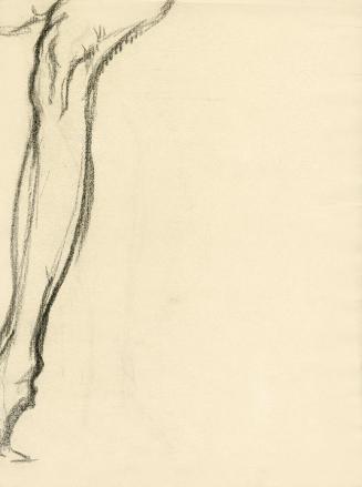 Alfred Wickenburg, Beinstudie, 1909/1911, Kohle auf Papier, Blattmaße: 31,5 × 23,6 cm, Privatbe ...