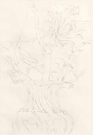 Alfred Wickenburg, Blumenstillleben, um 1960, Bleistift auf Papier, Blattmaße: 33 × 23,4 cm, Pr ...
