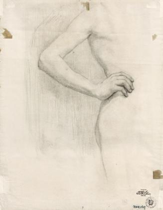 Alfred Wickenburg, Körperstudie, 1909, Kohle auf Papier, Blattmaße: 63 × 48 cm, Privatbesitz