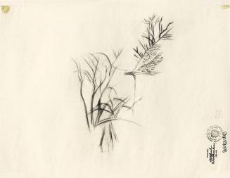 Alfred Wickenburg, Dach und Bäume, 1945/1950, Kohle auf Papier, Blattmaße: 36 × 46,7 cm, Privat ...