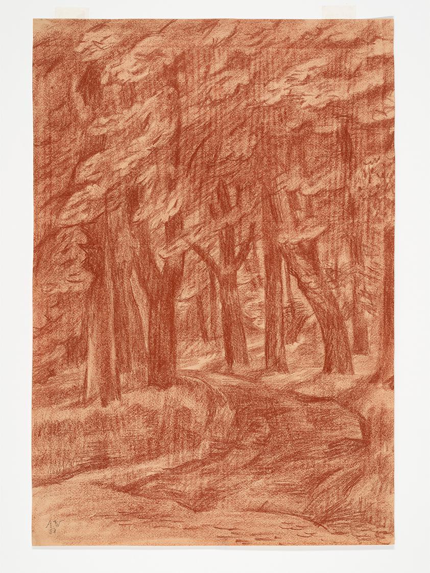 Alfred Wickenburg, Waldweg, 1938, Rötel auf Papier, Blattmaße: 61,4 × 42,1 cm, Neue Galerie Gra ...