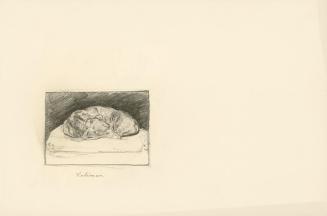 Alfred Wickenburg, Schlafender Hund, 1902, Bleistift auf Papier, Blattmaße: 22,5 × 34 cm, Priva ...