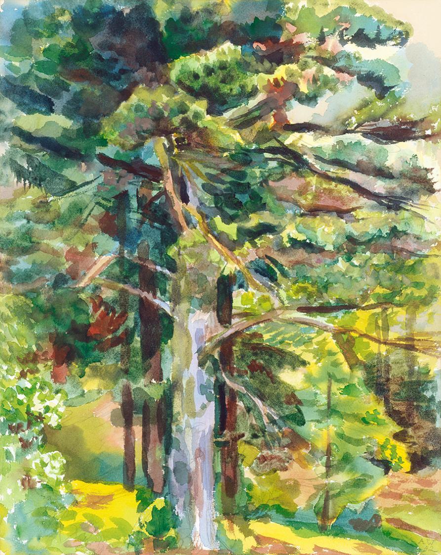 Alfred Wickenburg, Baum, 1942, Aquarell über Bleistift auf Papier, Lichte Maße: 60 × 47,9 cm, P ...