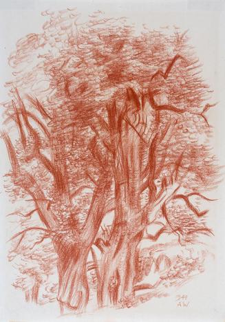 Alfred Wickenburg, Alte Birnbäume, 1944, Rötel auf Papier, Blattmaße: 32 × 22,4 cm, Neue Galeri ...