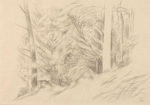 Alfred Wickenburg, Waldstudie, 1947, Schwarze Kreide auf Papier, Lichte Maße: 30,4 × 43,4 cm, A ...