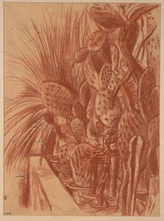 Alfred Wickenburg, Kakteen, 1938/1940, Rötel auf Papier, Lichte Maße: 43,5 × 32,3 cm, Albertina ...