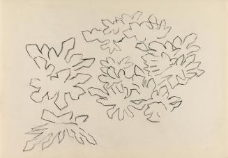 Alfred Wickenburg, Flächenstudien, 1950/1954, Kohle auf Papier, Blattmaße: 20,6 × 29,7 cm, Priv ...