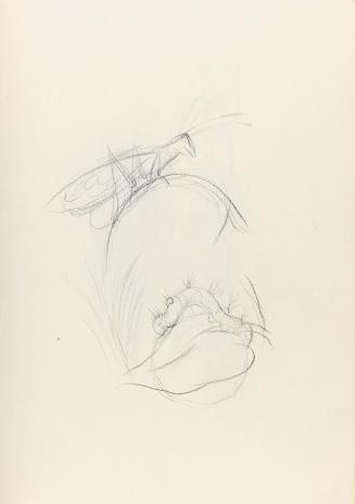 Alfred Wickenburg, Heuschrecke und Raupe, 1944, Kohle auf Papier, Blattmaße: 31,8 × 22,5 cm, Pr ...