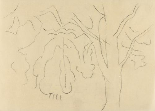 Alfred Wickenburg, Baumstudie, um 1960, Kohle auf Papier, Blattmaße: 14,8 × 20,5 cm, Privatbesi ...