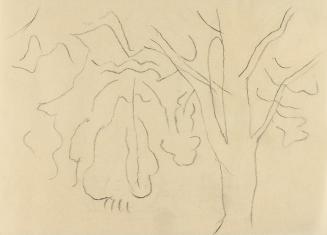 Alfred Wickenburg, Baumstudie, um 1960, Kohle auf Papier, Blattmaße: 14,8 × 20,5 cm, Privatbesi ...