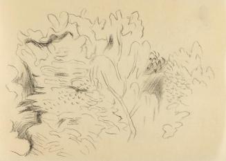 Alfred Wickenburg, Baumkrone, um 1960, Kohle auf Papier, Blattmaße: 14,8 × 20,5 cm, Privatbesit ...