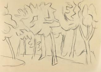 Alfred Wickenburg, Baumreihe, um 1960, Kohle auf Papier, Blattmaße: 14,8 × 20,5 cm, Privatbesit ...