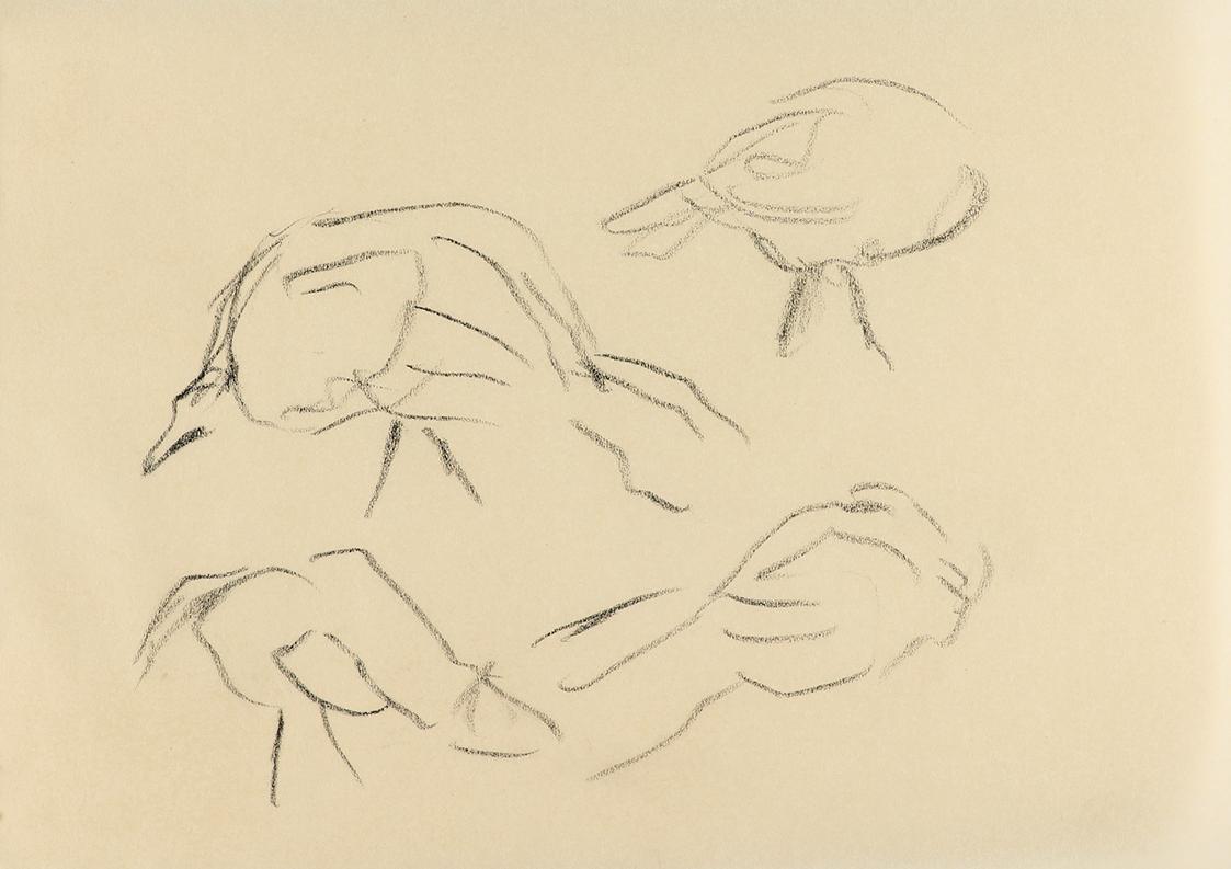 Alfred Wickenburg, Studien zu Vogelköpfen, um 1960, Kohle auf Papier, Blattmaße: 14,8 × 20,5 cm ...