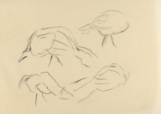 Alfred Wickenburg, Studien zu Vogelköpfen, um 1960, Kohle auf Papier, Blattmaße: 14,8 × 20,5 cm ...