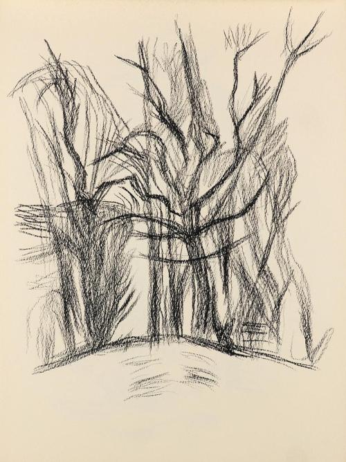 Alfred Wickenburg, Baumreihe, um 1945, Kohle auf Papier, Blattmaße: 28,5 × 21 cm, Privatbesitz